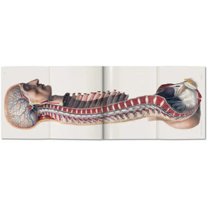 Bourgery. Atlas of Human Anatomy and Surgery - Taschen Books