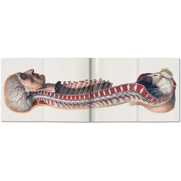 Load image into Gallery viewer, Bourgery. Atlas of Human Anatomy and Surgery - Taschen Books
