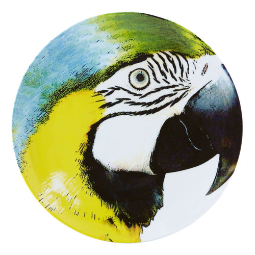 Vista Alegre Olhar O Brasil - Charger Plate Yellow Bellied Macaw