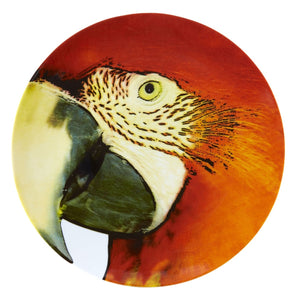 Vista Alegre Olhar O Brasil - Charger Plate Red Macaw