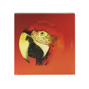 Vista Alegre Olhar O Brasil - Charger Plate Red Macaw