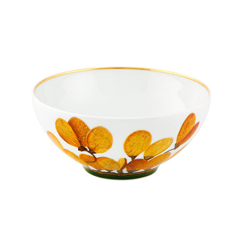 Vista Alegre Amazonia - Cereal Bowl, Set of 4