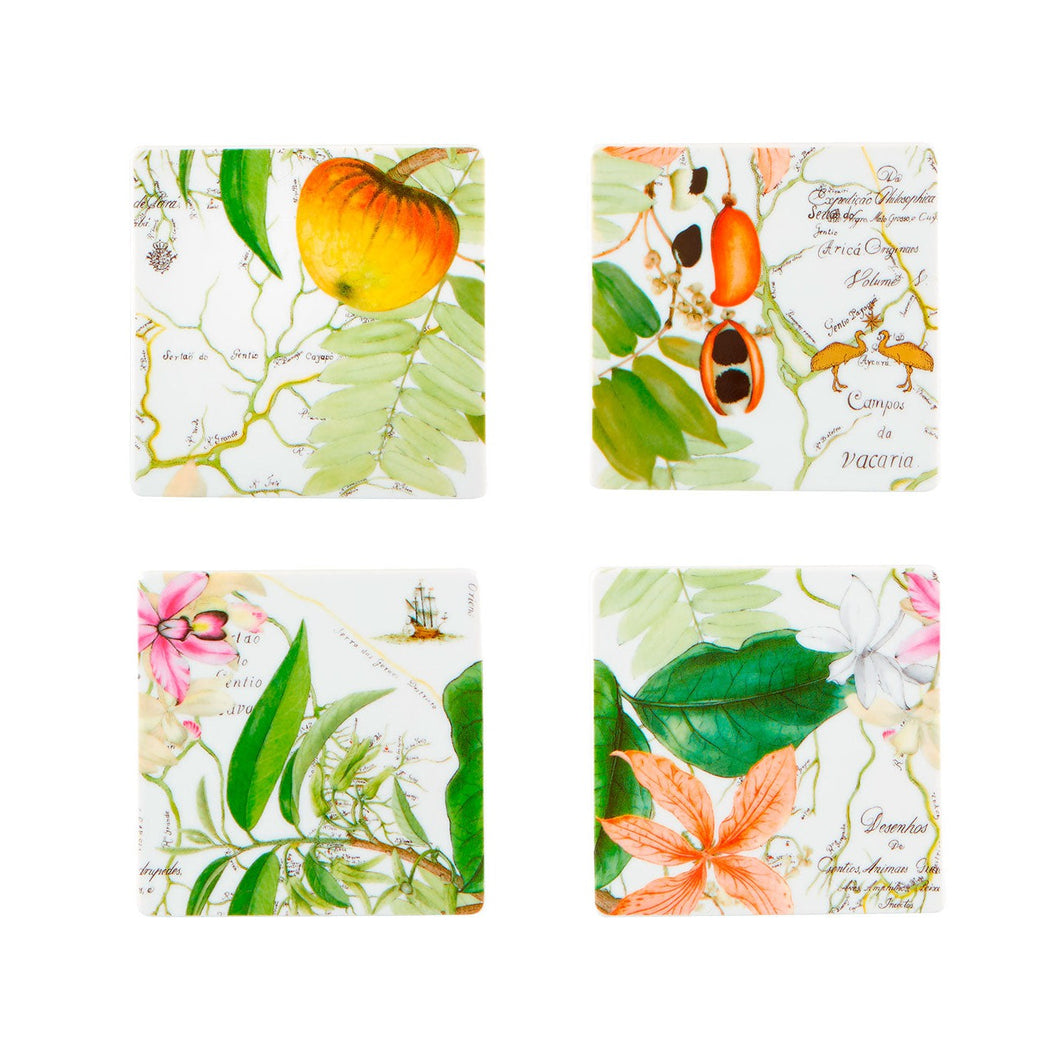 Vista Alegre Amazonia - Set Of 4 Coasters