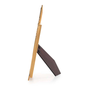 Royal Selangor Limited Edition Gilt Mirror of Erised Photoframe 4R