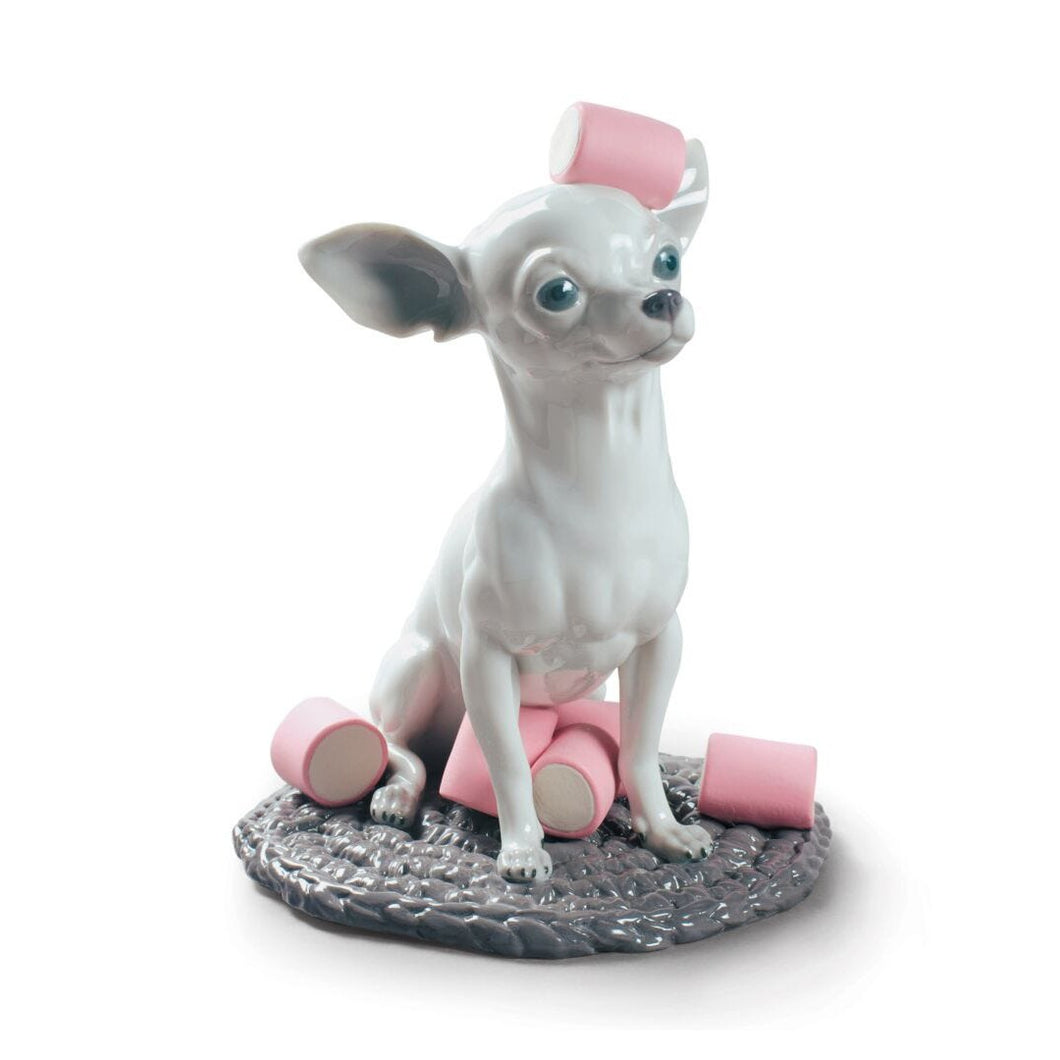 Lladro Chihuahua with Marshmallows Dog Figurine