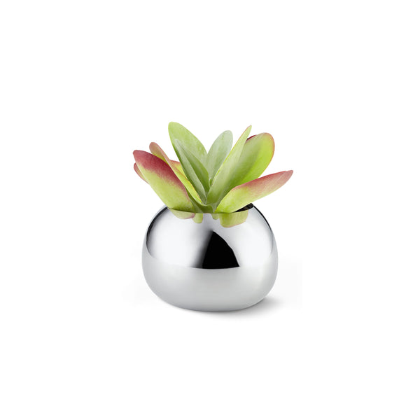 Load image into Gallery viewer, Philippi Bella Vase Small
