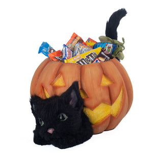 Katherine's Collection Halloween Hollow Cat in the Candy Bowl