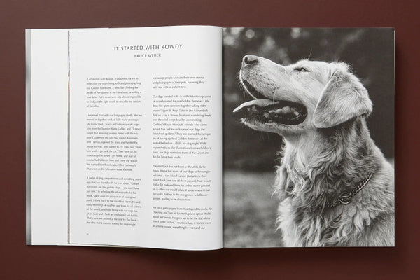Load image into Gallery viewer, Bruce Weber. The Golden Retriever Photographic Society - Taschen Books
