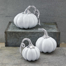 Load image into Gallery viewer, Mariposa Ceramic Heirloom Small Pumpkin with Metal Stem