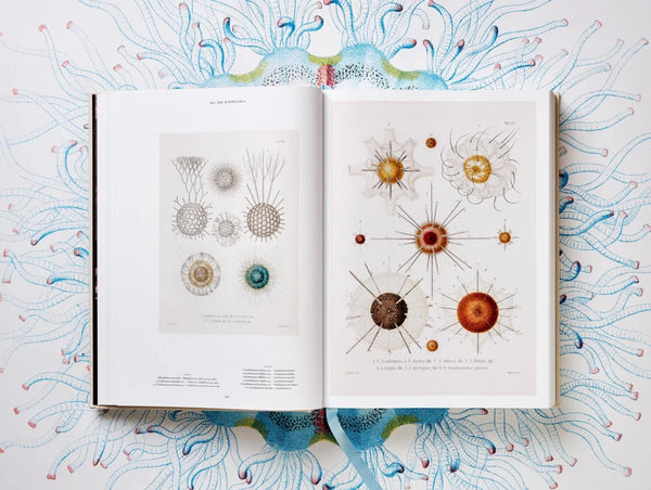 Load image into Gallery viewer, The Art and Science of Ernst Haeckel - Taschen Books
