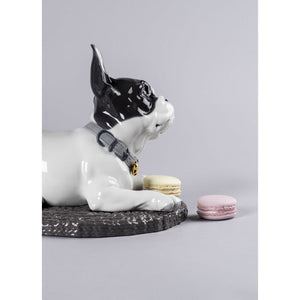 Lladro French Bulldog with Macarons Dog Figurine