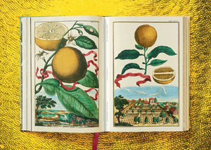 J. C. Volkamer. The Book of Citrus Fruits - Taschen Books
