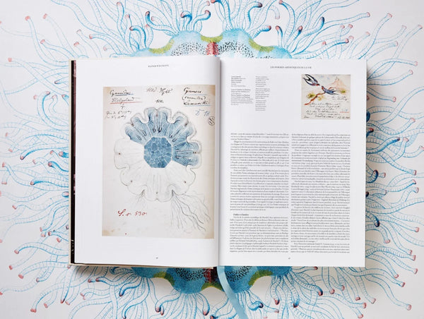 Load image into Gallery viewer, The Art and Science of Ernst Haeckel - Taschen Books
