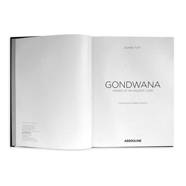 Load image into Gallery viewer, Gondwana: Images of an Ancient Land - Assouline Books

