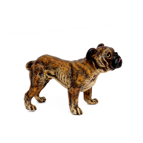English Bulldog Standing Vienna Bronze Figurine