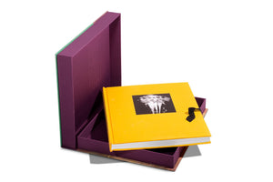 The Impossible Collection of Warhol - Assouline Books