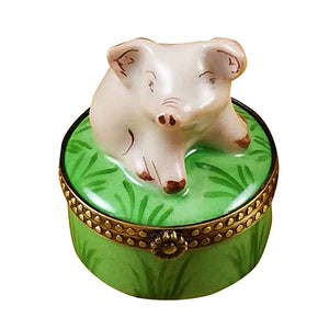 Rochard "Mini Pig on Green Base" Limoges Box