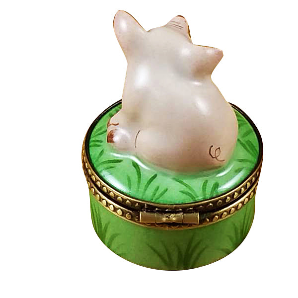 Load image into Gallery viewer, Rochard &quot;Mini Pig on Green Base&quot; Limoges Box
