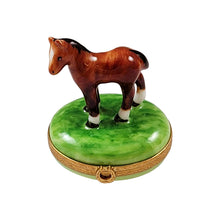 Load image into Gallery viewer, Rochard &quot;Standing Mini Horse with a Removable Brass Horseshoe&quot; Limoges Box