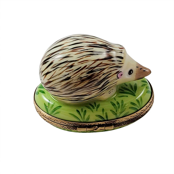 Load image into Gallery viewer, Rochard &quot;Hedgehog&quot; Limoges Box
