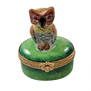 Rochard "Small Owl on Green Oval" Limoges Box