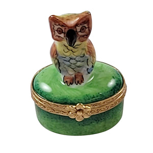 Rochard "Small Owl on Green Oval" Limoges Box