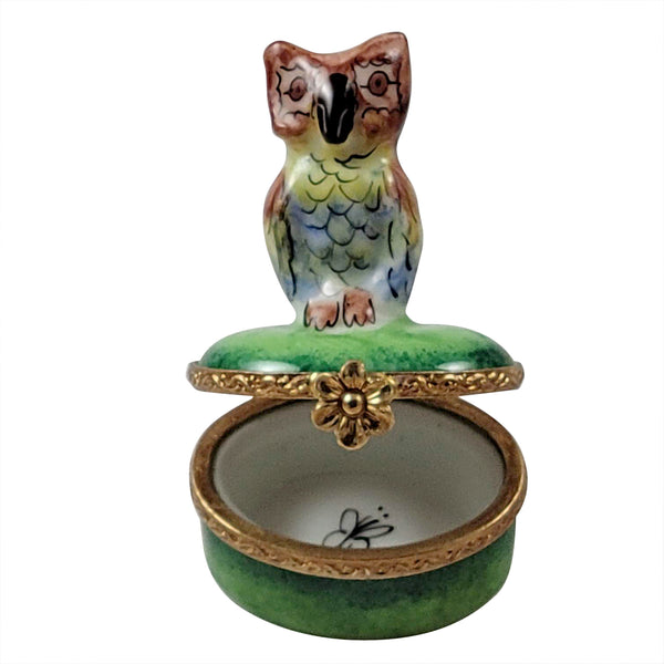 Load image into Gallery viewer, Rochard &quot;Small Owl on Green Oval&quot; Limoges Box
