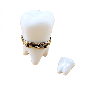 Rochard "Large White Baby Tooth with Removable Tooth" Limoges Box