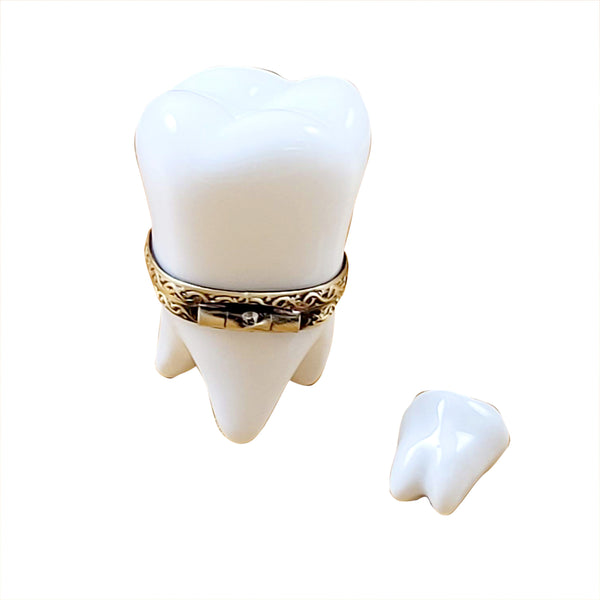 Load image into Gallery viewer, Rochard &quot;Large White Baby Tooth with Removable Tooth&quot; Limoges Box

