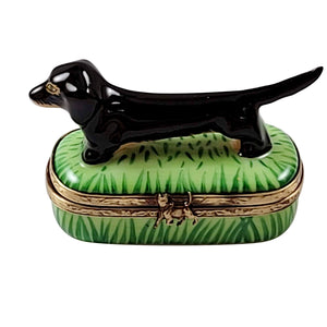 Rochard "Black & Tan Dachshund" Limoges Box