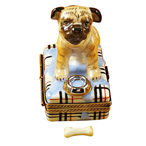 Rochard "Pug with Spilt Water & Removable Bone" Limoges Box