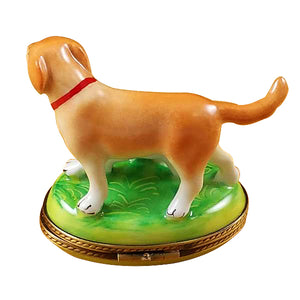 Rochard "Blond / Yellow Labrador with Puppy" Limoges Box