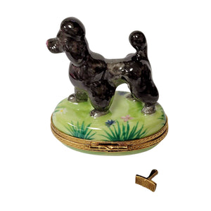 Rochard "Black Poodle with Removable Grooming Tool" Limoges Box