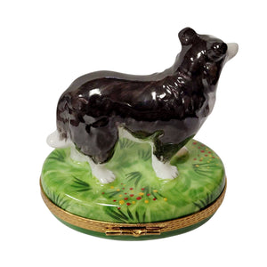 Rochard "Black & White Collie with Removable Bone" Limoges Box
