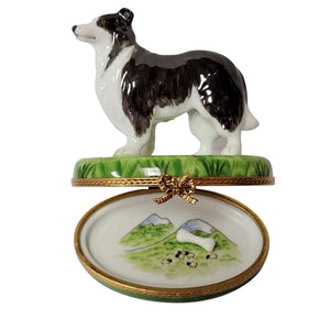 Rochard "Black & White Collie with Removable Bone" Limoges Box