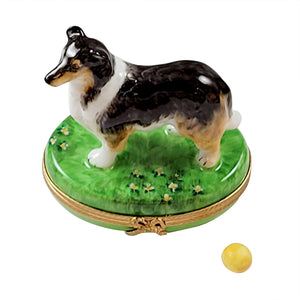 Rochard "Sheltie with Removable Ball" Limoges Box
