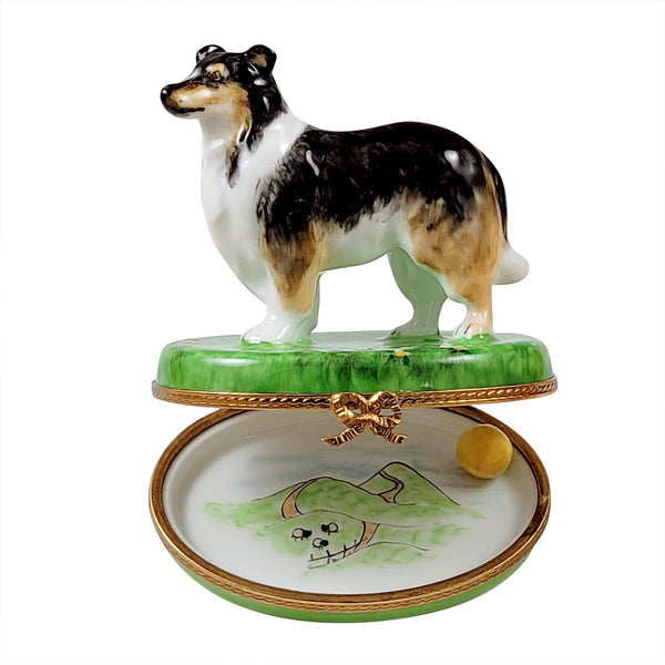 Load image into Gallery viewer, Rochard &quot;Sheltie with Removable Ball&quot; Limoges Box
