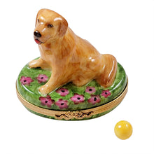 Load image into Gallery viewer, Rochard &quot;Golden Retriever on Flowers with Removable Ball&quot; Limoges Box