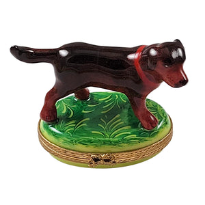 Rochard "Chocolate Labrador Standing" Limoges Box