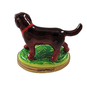 Rochard "Chocolate Labrador Standing" Limoges Box