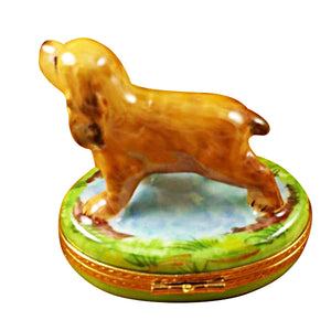 Rochard "Cocker Spaniel" Limoges Box