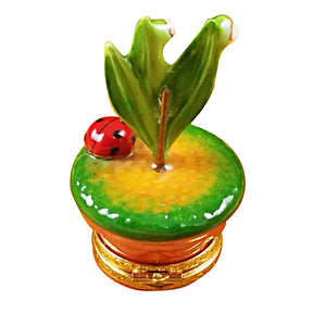 Rochard "Lily of the Valley with Ladybug in Pot" Limoges Box