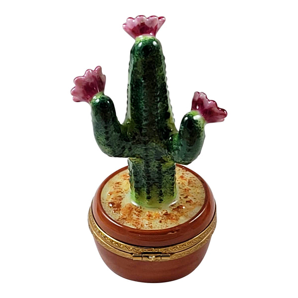 Load image into Gallery viewer, Rochard &quot;Flowering Cactus in Pot&quot; Limoges Box
