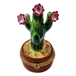 Rochard "Flowering Cactus in Pot" Limoges Box