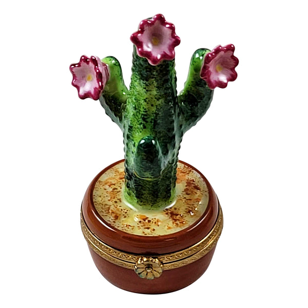 Load image into Gallery viewer, Rochard &quot;Flowering Cactus in Pot&quot; Limoges Box
