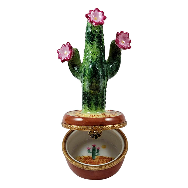 Load image into Gallery viewer, Rochard &quot;Flowering Cactus in Pot&quot; Limoges Box
