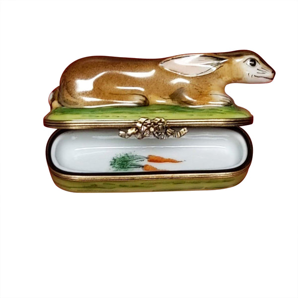 Load image into Gallery viewer, Bunny on Oblong Box Limoges Box
