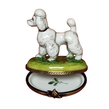 Load image into Gallery viewer, White Poodle Limoges Box