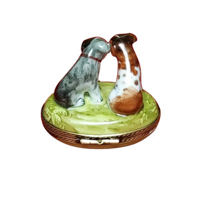 Two Puppies Kissing Limoges Box