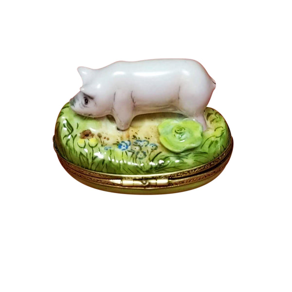 Load image into Gallery viewer, Pig with Lettuce Limoges Box
